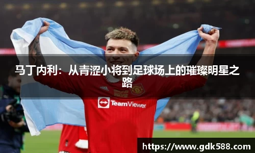 马丁内利：从青涩小将到足球场上的璀璨明星之路