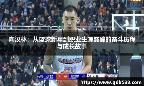 陶汉林：从篮球新星到职业生涯巅峰的奋斗历程与成长故事
